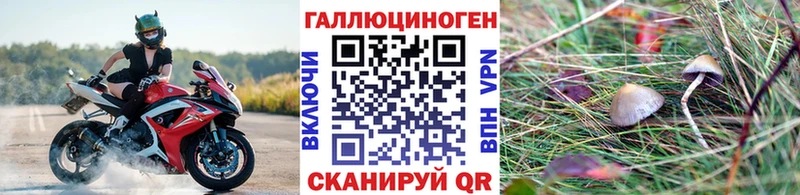 где можно купить наркотик Зарайск Галлюциногенные грибы ЛСД